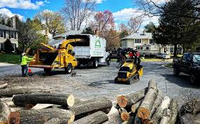 Mulching Services in Arlington Heights, PA